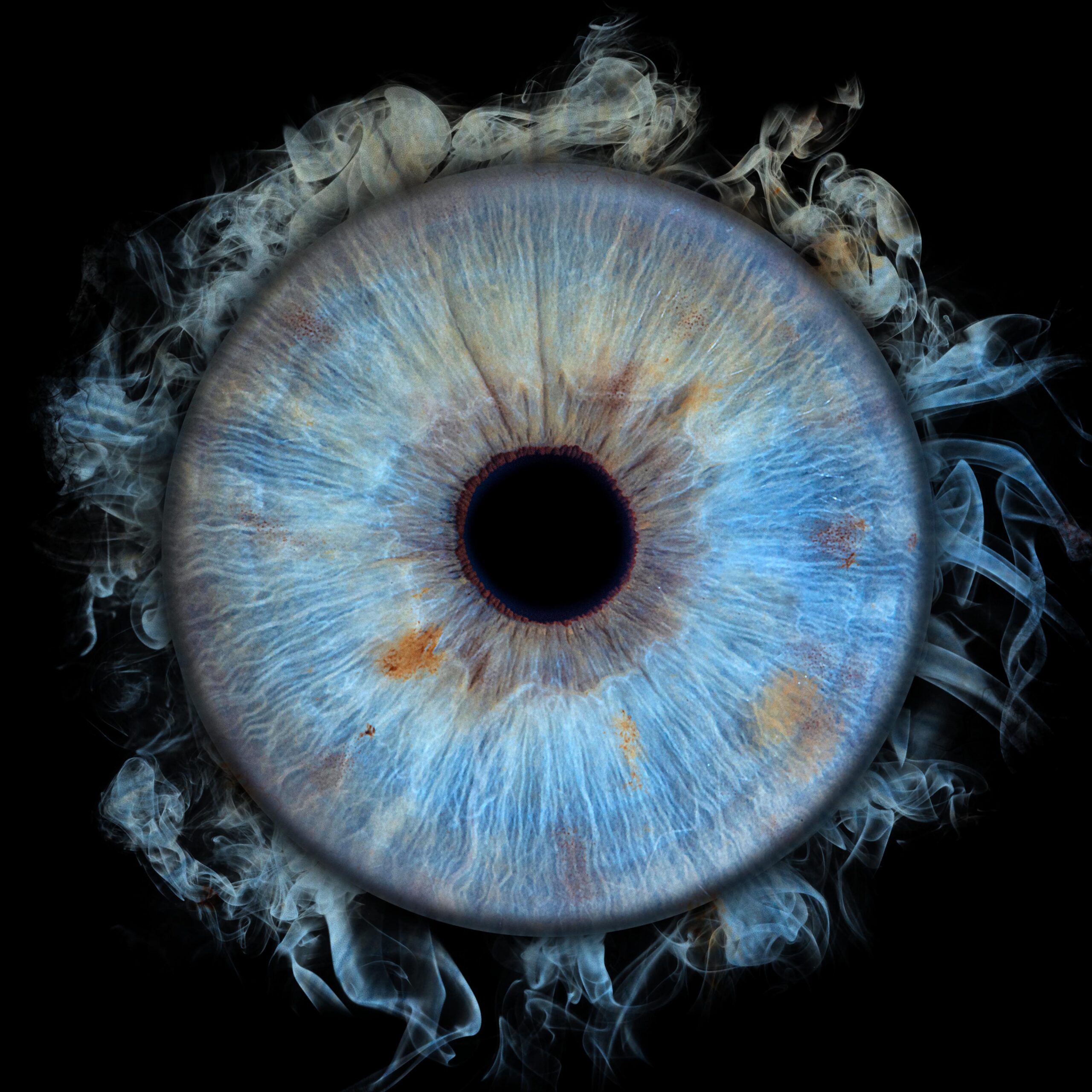 1 iris flammes