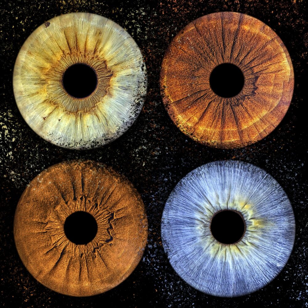 4 iris carré éclats