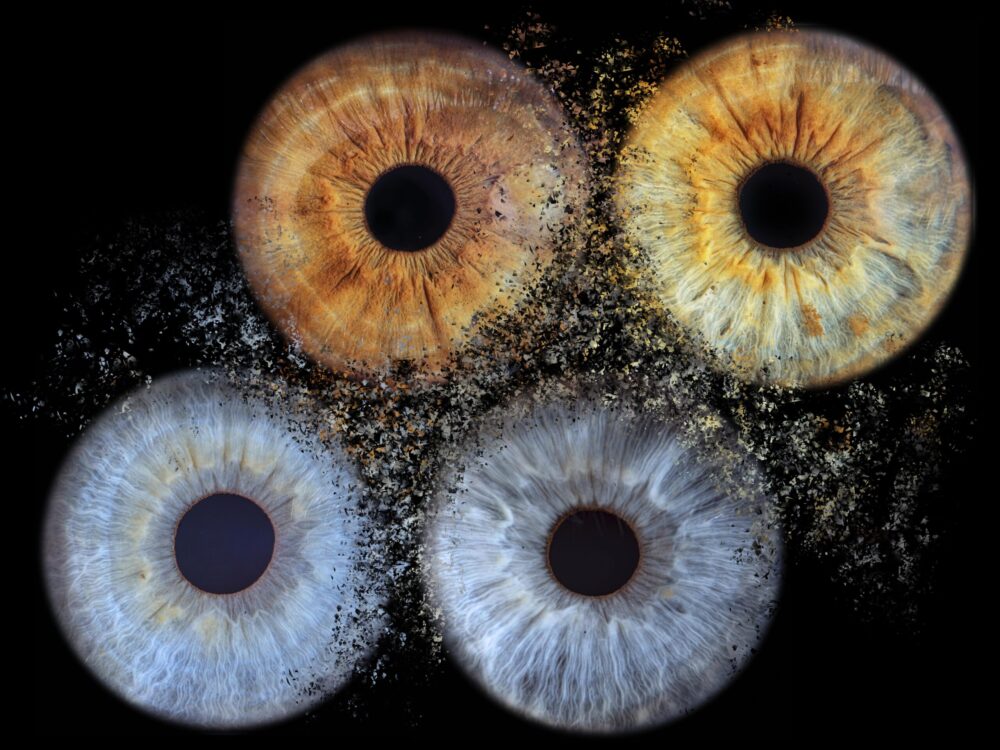4 iris décalés éclats
